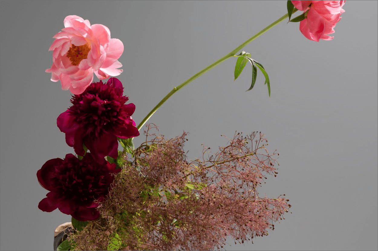 Ikebana